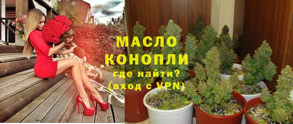 индика Балабаново