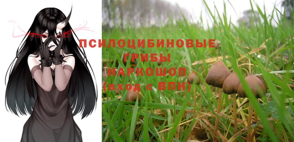 дурь Аркадак