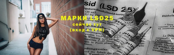 дурь Аркадак