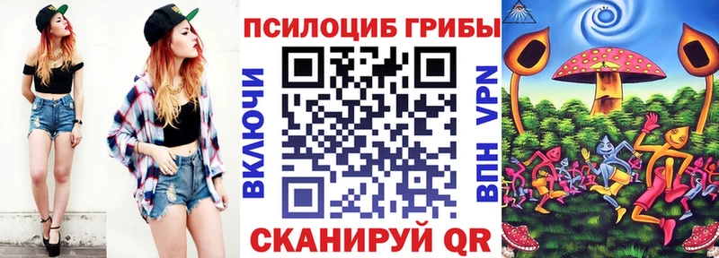 Галлюциногенные грибы Psilocybine cubensis  Купить  Сибай 