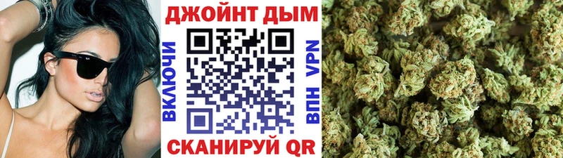 Каннабис планчик Сибай